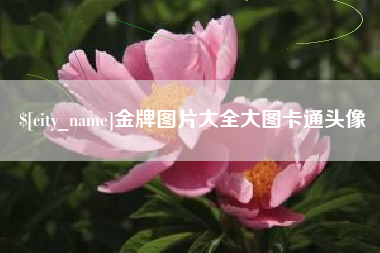 文昌金牌图片大全大图卡通头像
