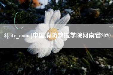 文昌中国消防救援学院河南省2020